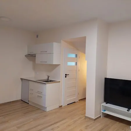 Szwajcarka Z Sauna I Jacuzzi Panzió 3*