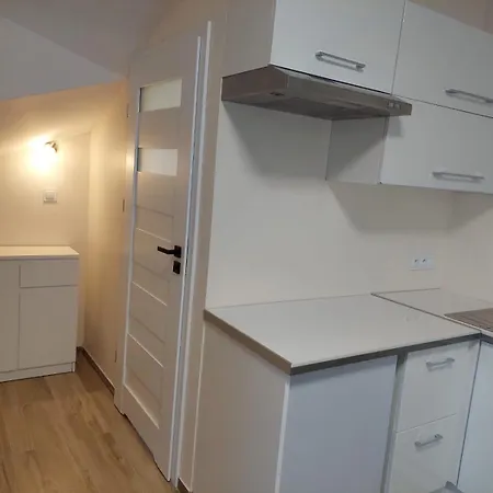 Panzió Szwajcarka Z Sauna I Jacuzzi 3*